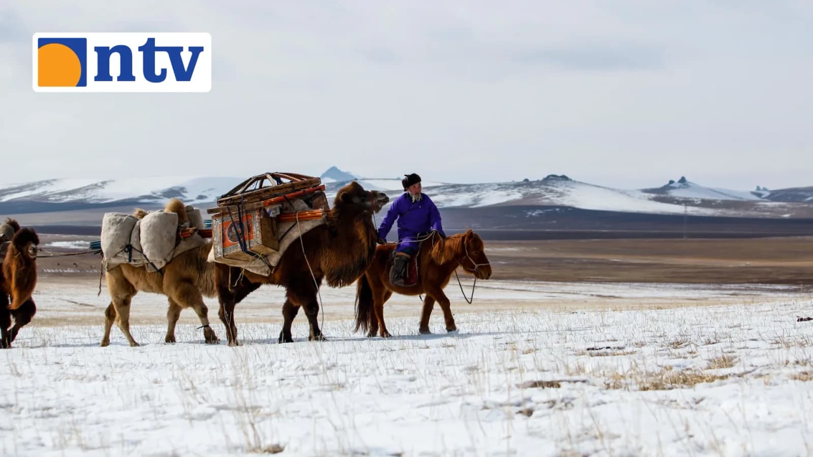 Аялал жуулчлалынханд 250 тэрбум төгрөгийн хөнгөлөлттэй зээл олгохоор төлөвлөжээ