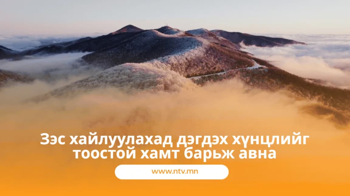 Зэс хайлуулахад дэгдэх хүнцлийг тоостой хамт барьж авна